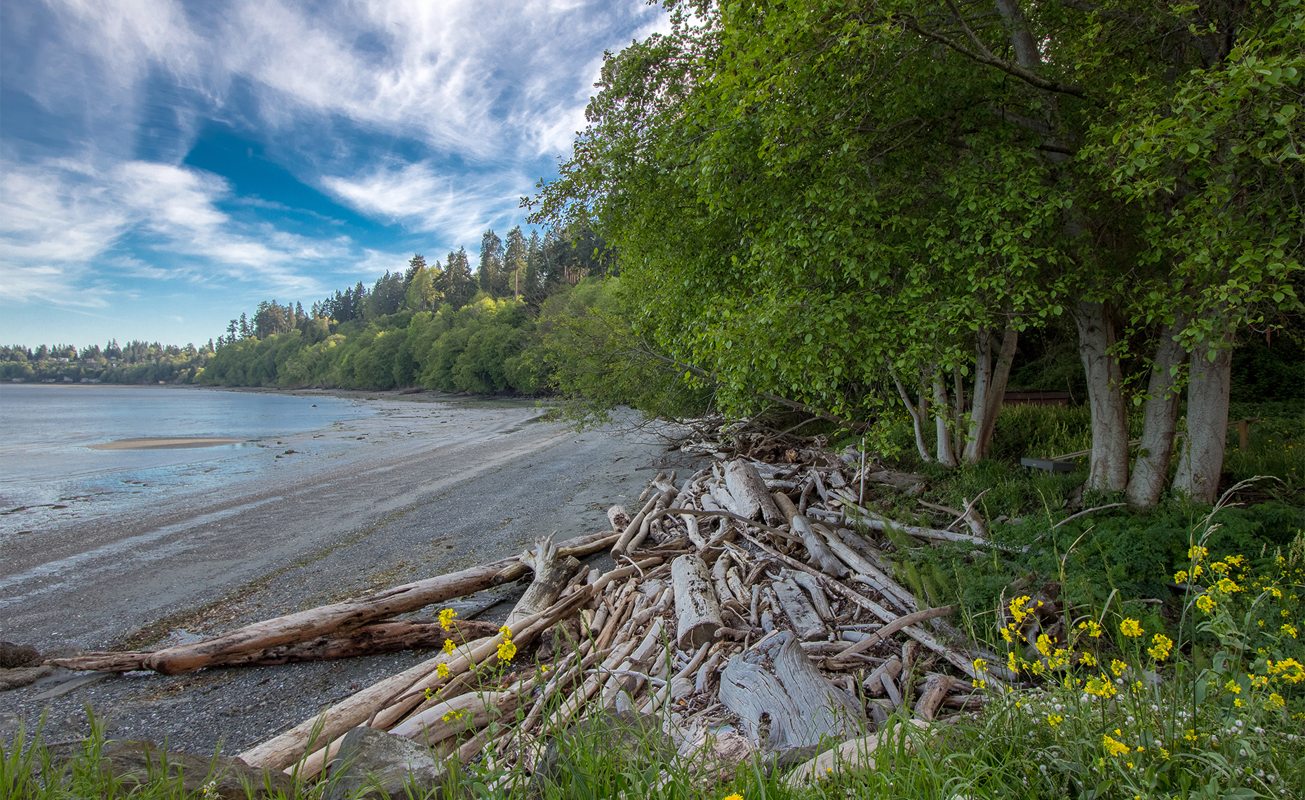 BrackenwoodBeach